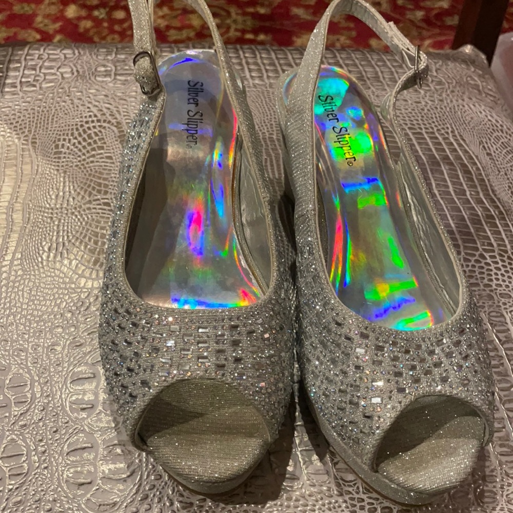 Silver Slipper Shoes